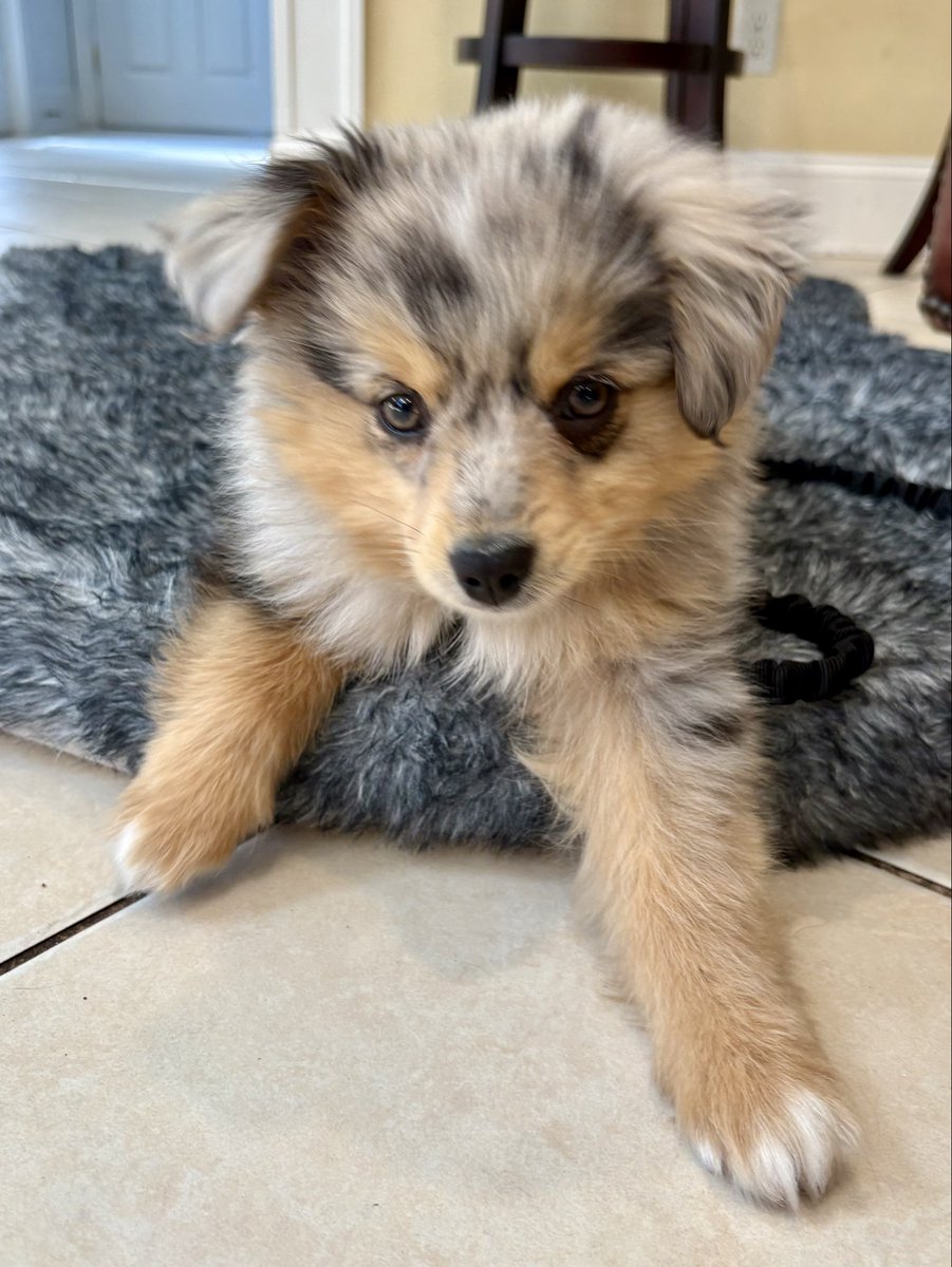 fat bae on 22’s tweet media