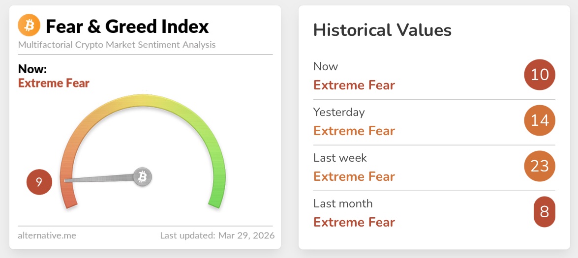 Crypto Rover tweet media