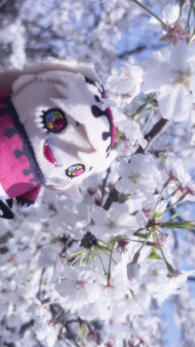 大体怠惰 tweet media