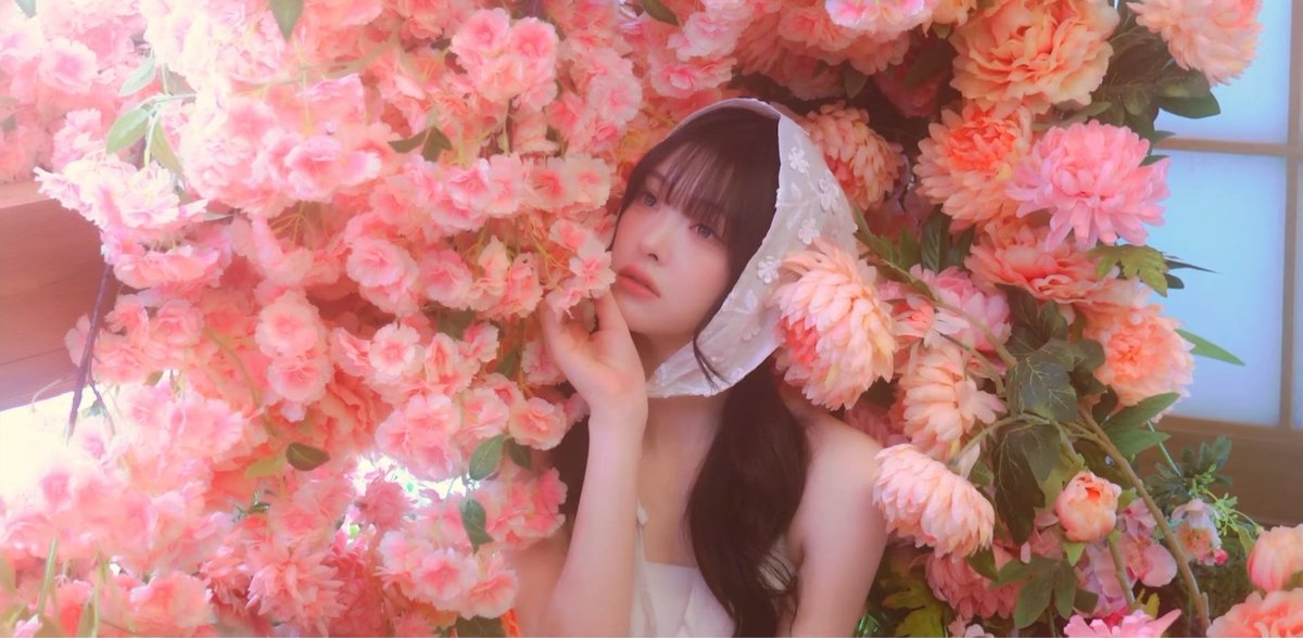 𝙎𝙝𝙖𝙧𝙠𝙞!_샤키! tweet media