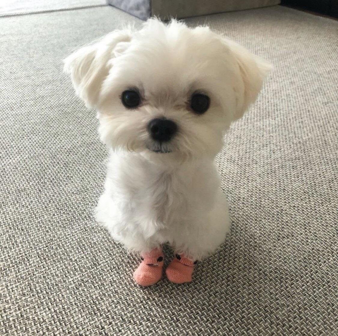 c ♡ ♡ k tweet media