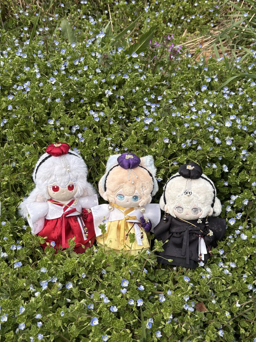 ๐ชํ๋ณตํ์ด๊ฐ ์ท์ฅ๐ช tweet media