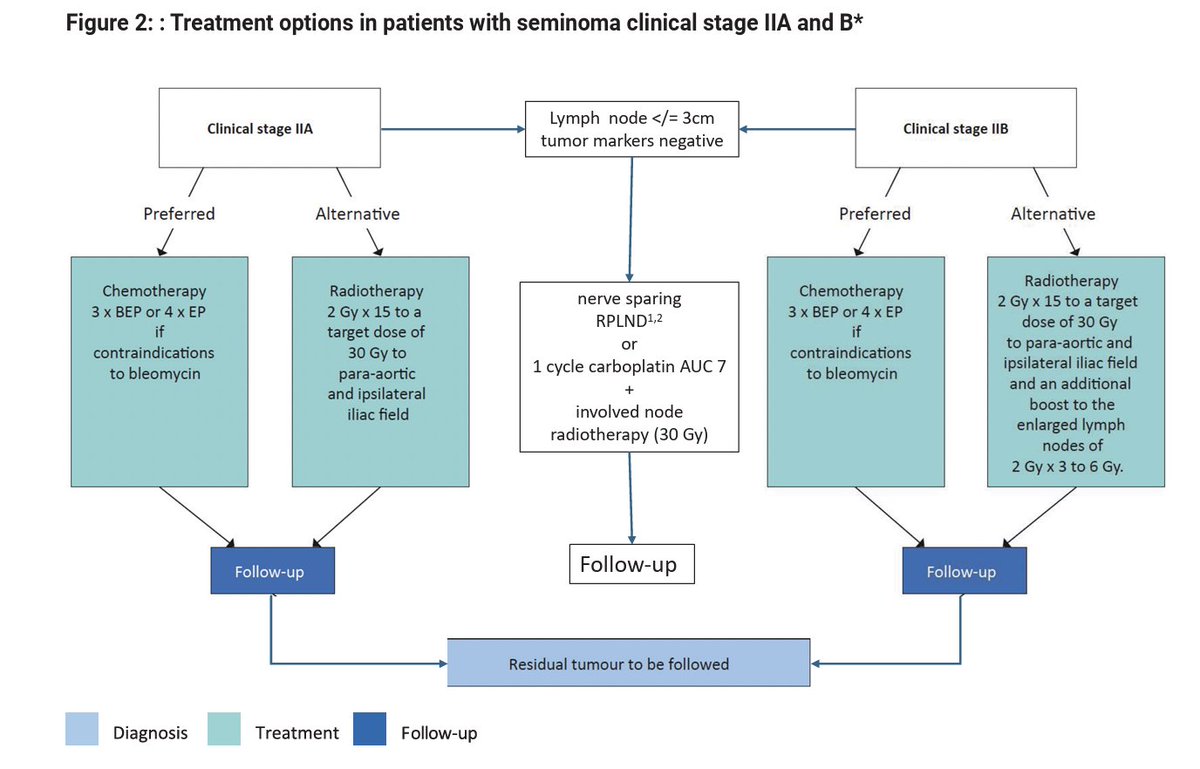 Alireza Ghoreifi, MD tweet media