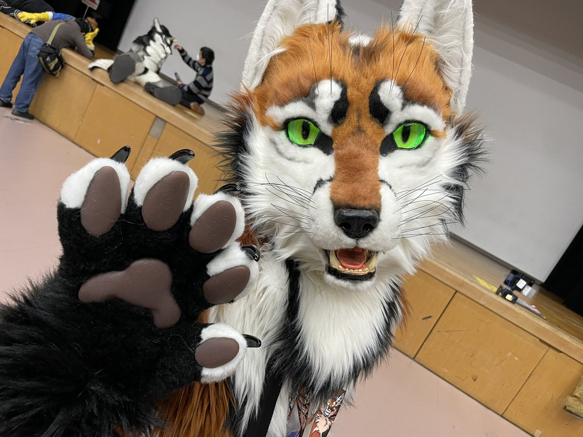 我流🐾 tweet media