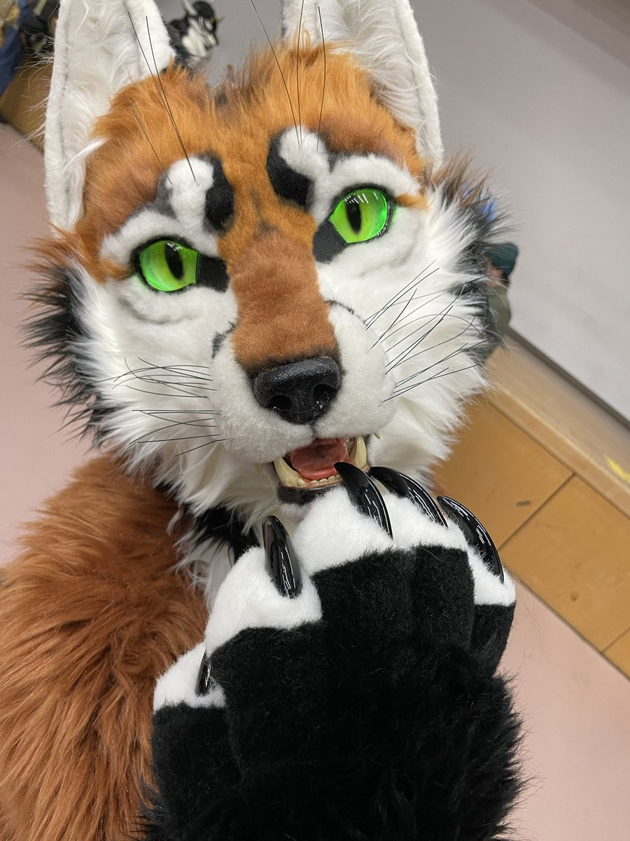 我流🐾 tweet media