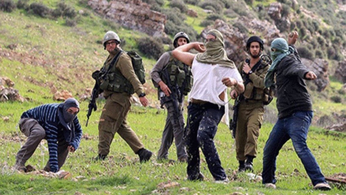 Amit Segal tweet media