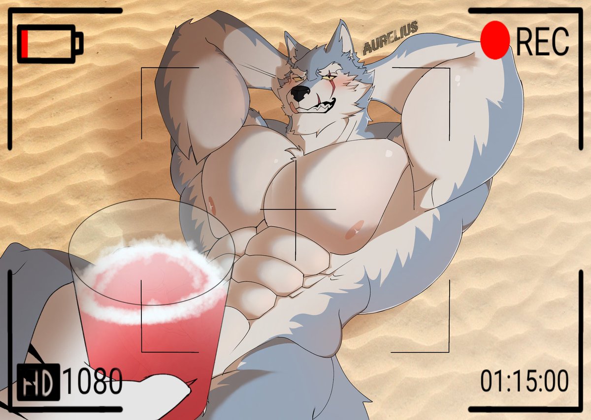 🦁𝐀𝐔𝐑𝐄𝐋𝐈𝐔𝐒 🦁 tweet media