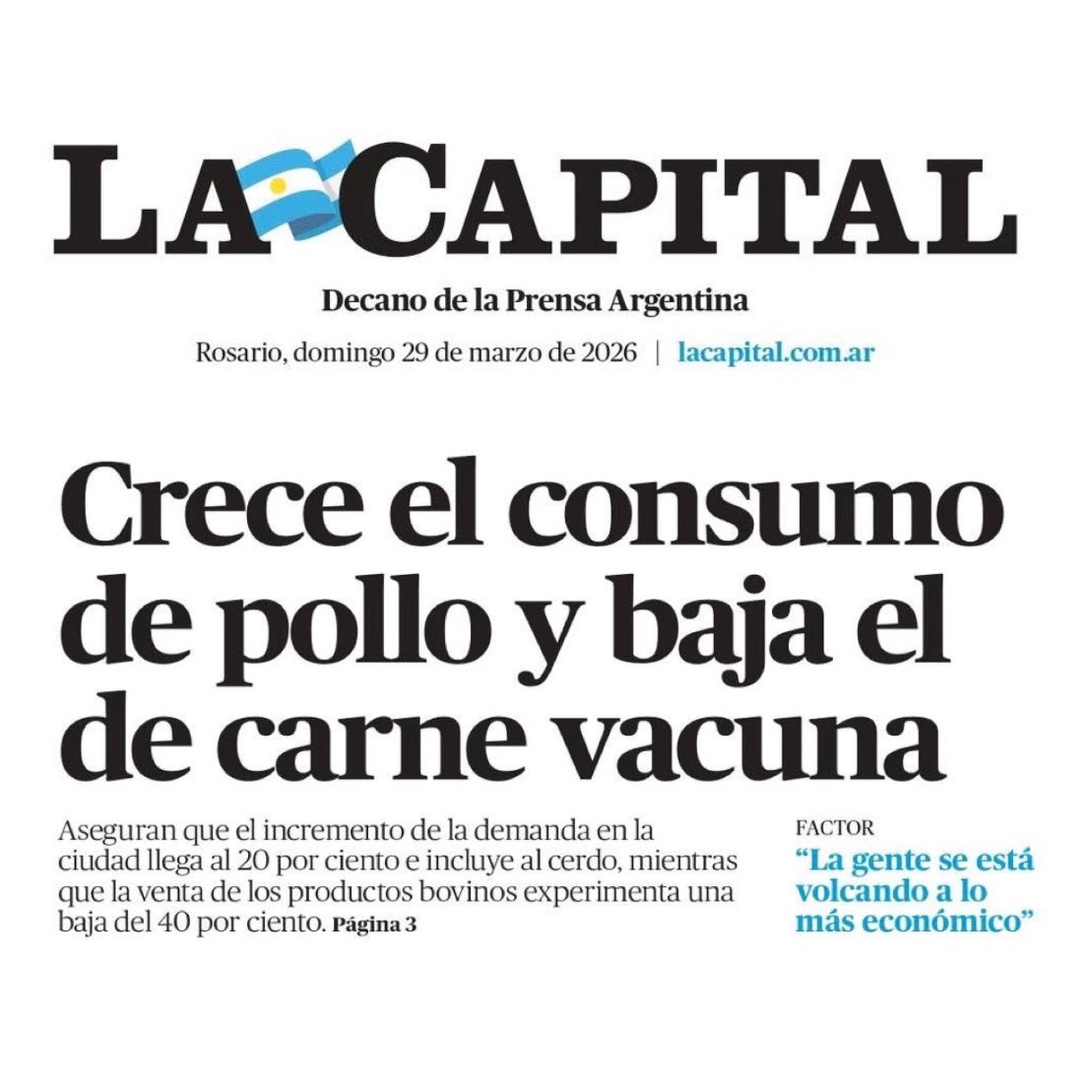 Eduardo Toniolli tweet media