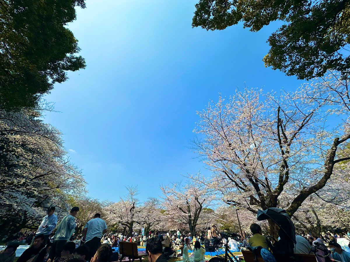 ᴘʏᴏɴᴄᴇ𓆏 tweet media