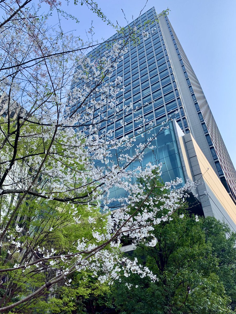 🌻向日葵🌻 tweet media