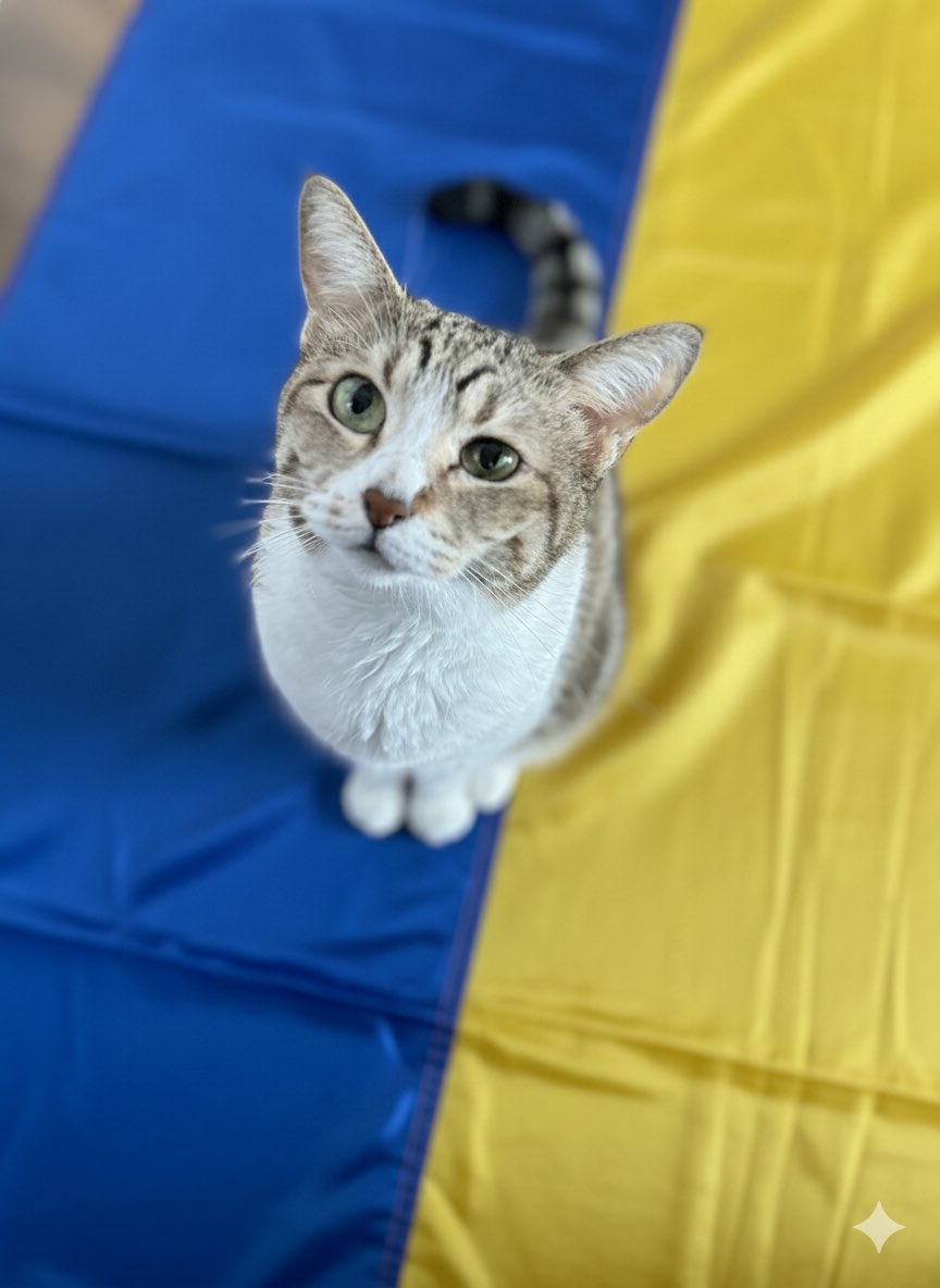 sasya286🦖🌱🙏🇺🇦🙏 tweet media