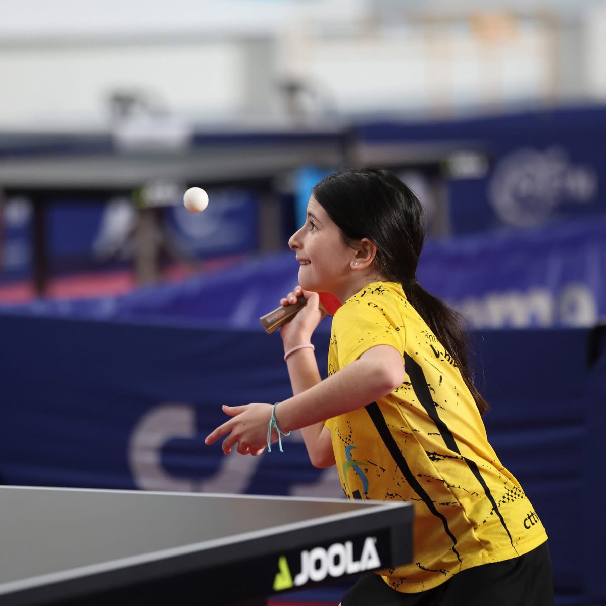 Federació Catalana de Tennis Taula tweet media