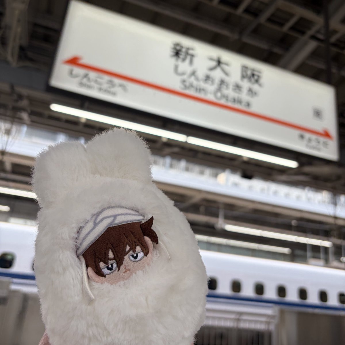 ito🐰3/29 3号館と51a tweet media