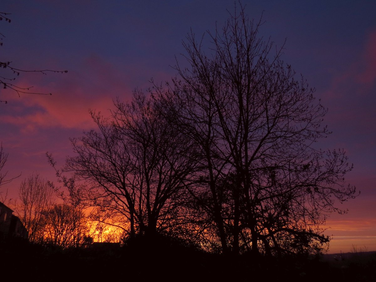 angegarrod's tweet photo. Red sky in the morning...Vivid #sunrise shades as the
#clocksGoForward
#loveukweather #springwatch #clouds @CloudAppSoc @BBCWthrWatchers @metofficeYorks https://t.co/ksiKf88NpZ