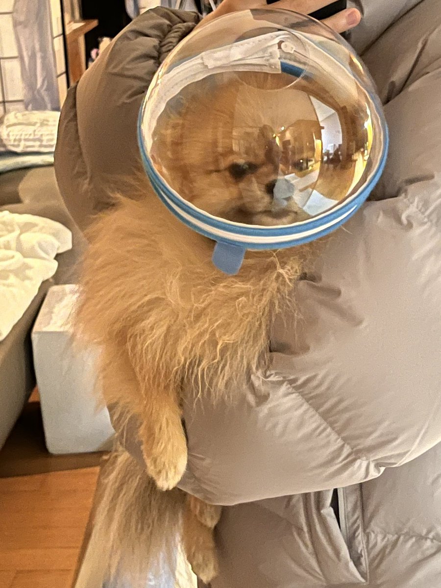 조도매 tweet media