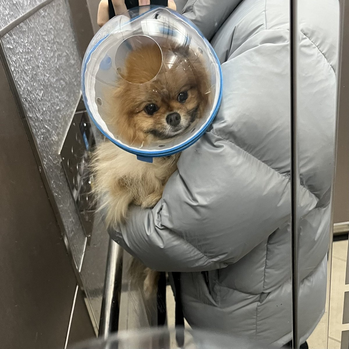 조도매 tweet media