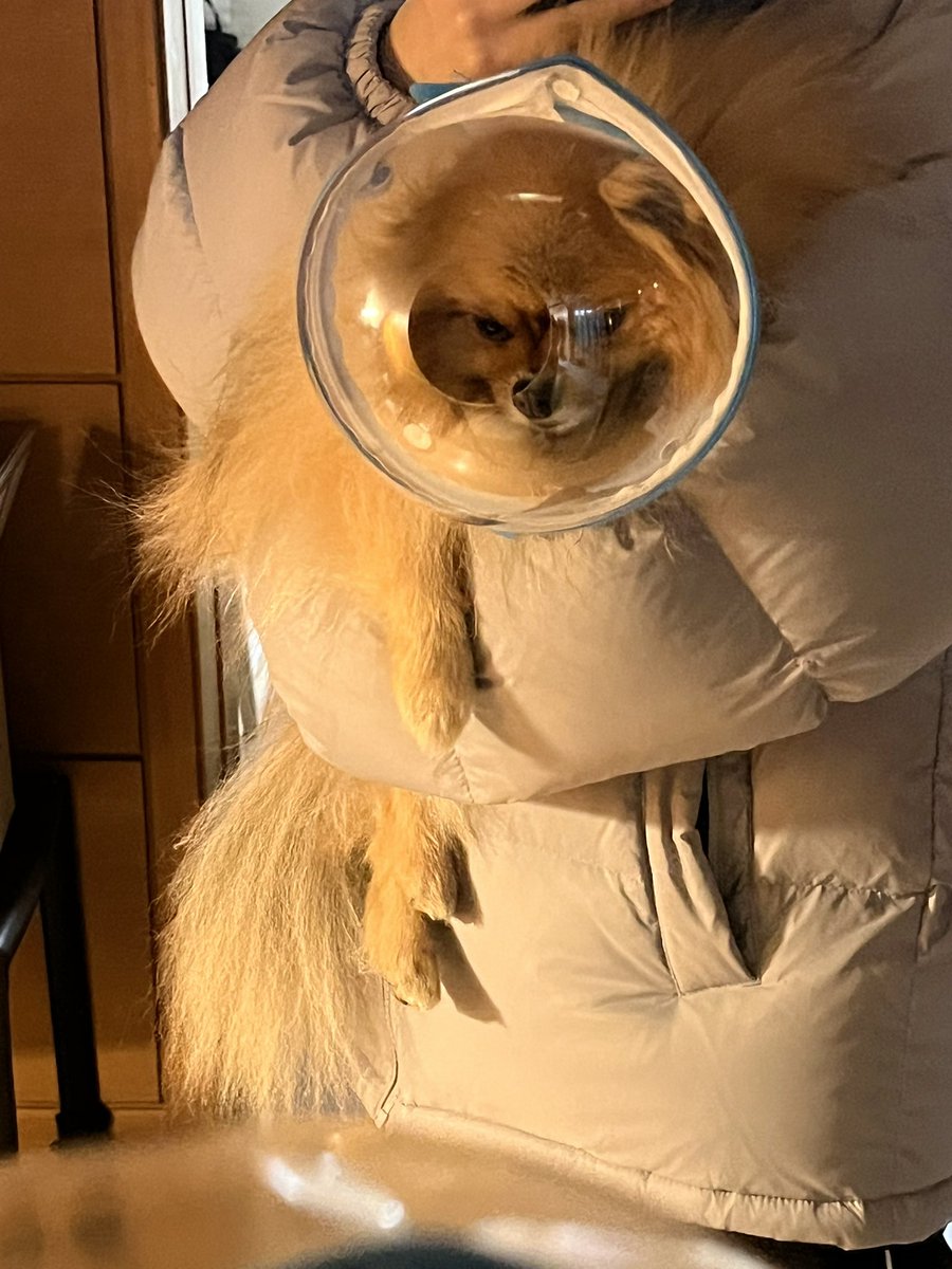 조도매 tweet media