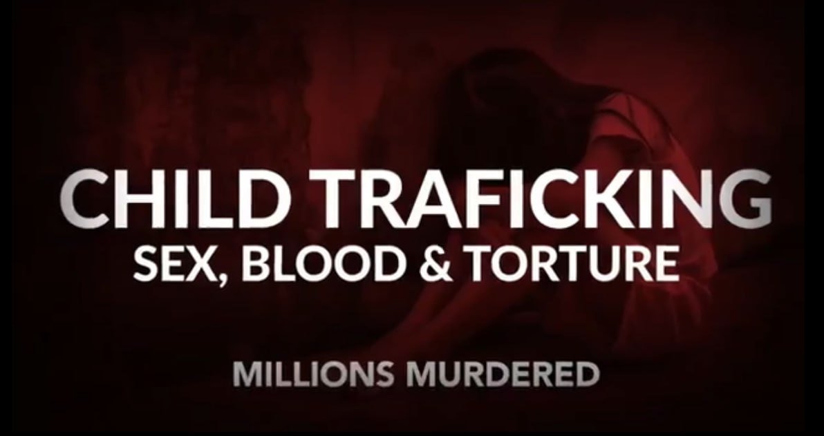 JagueWar76 tweet media