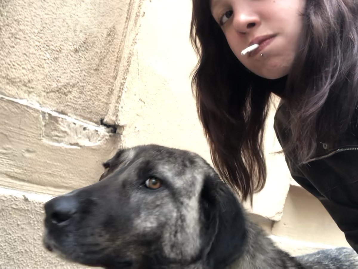 ⋆.˚ 𓆝 şevval tweet media