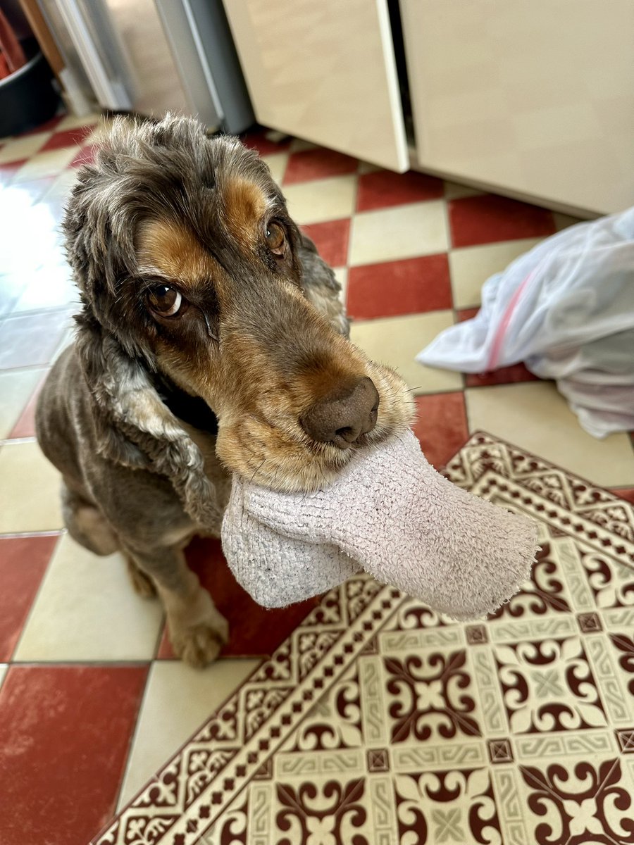 RobertLeCocker tweet media