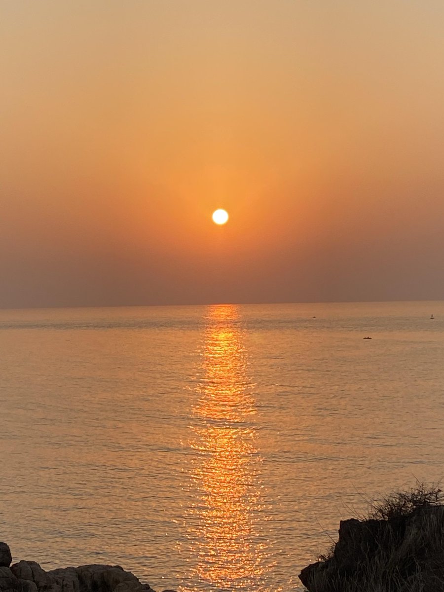 belal saleh tweet media