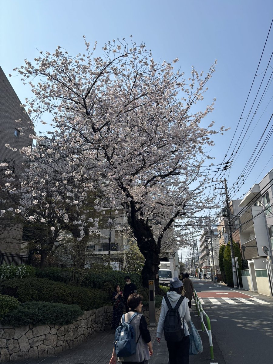 つぼい@将棋とポーカーの人 tweet media