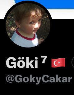 Göki ⁷ 🇹🇷 tweet media