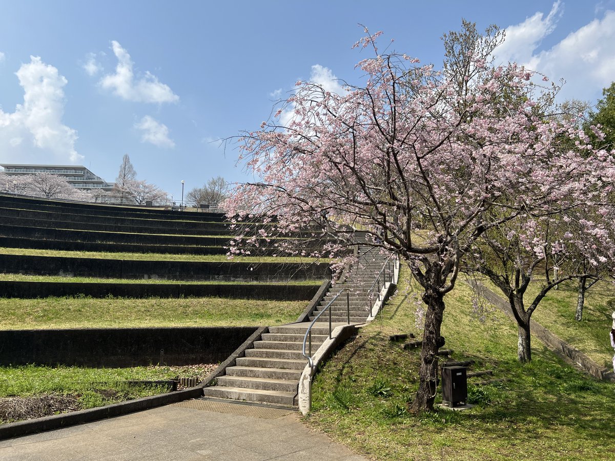 いぷさ tweet media