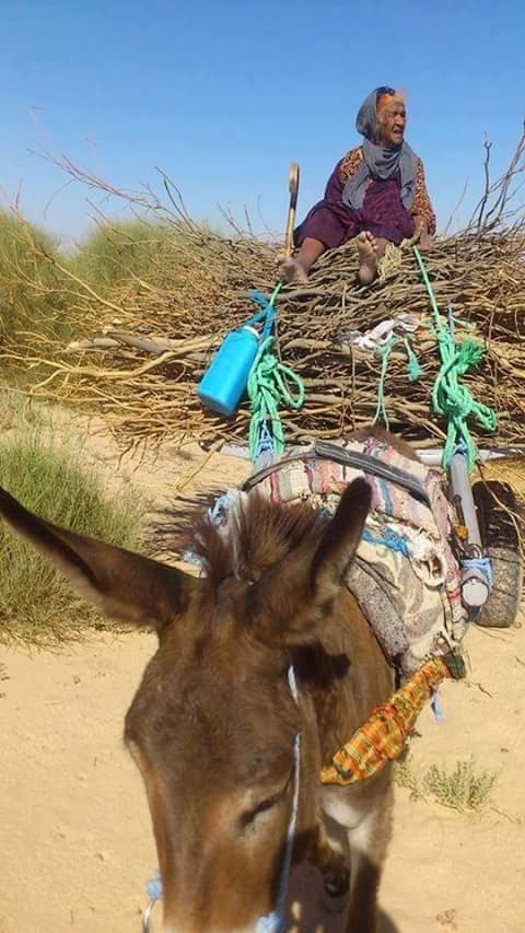 روزان قباص רוזאן קבאס يهودية يمنية 🇾🇪 tweet media