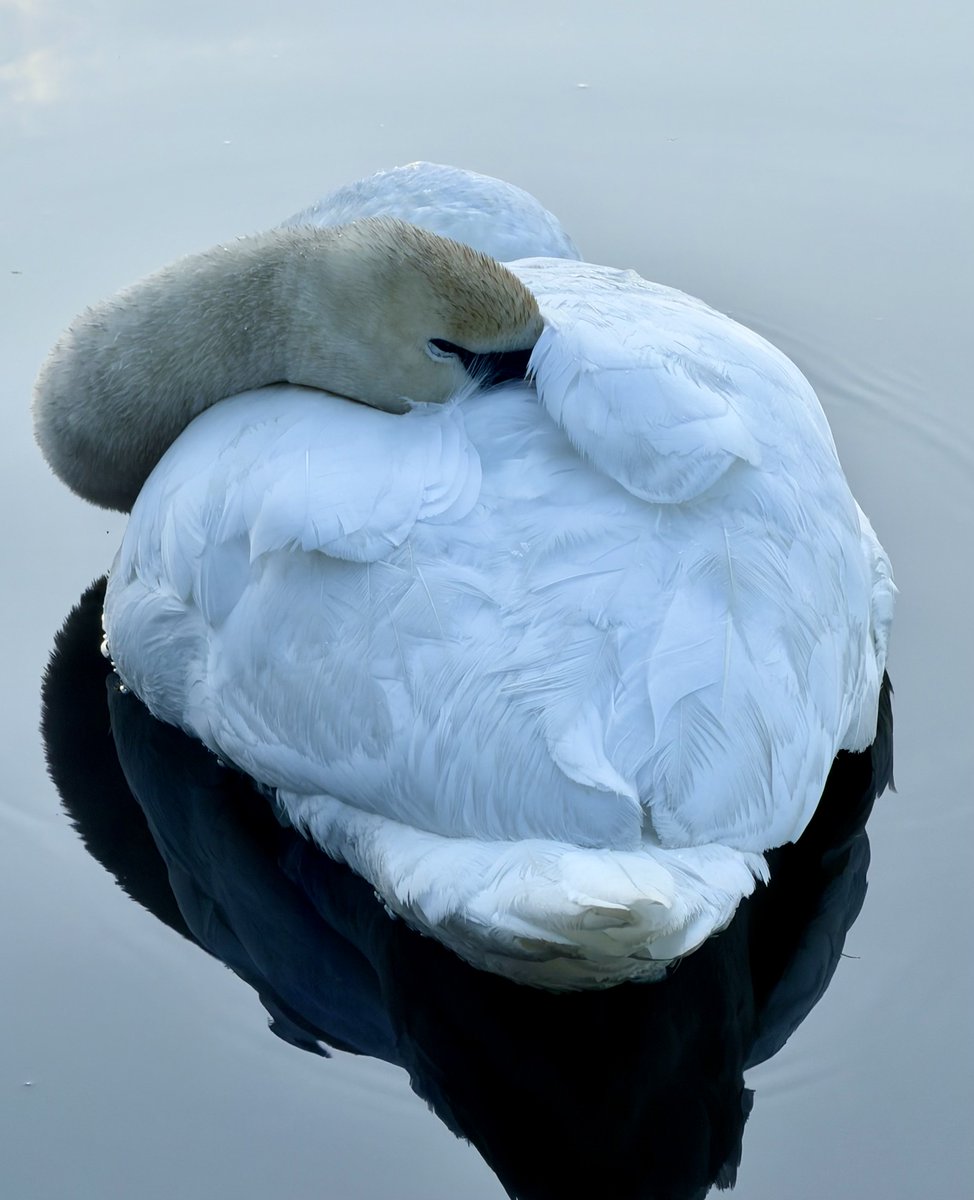 Crypto_Mountain_Biker_MD tweet media