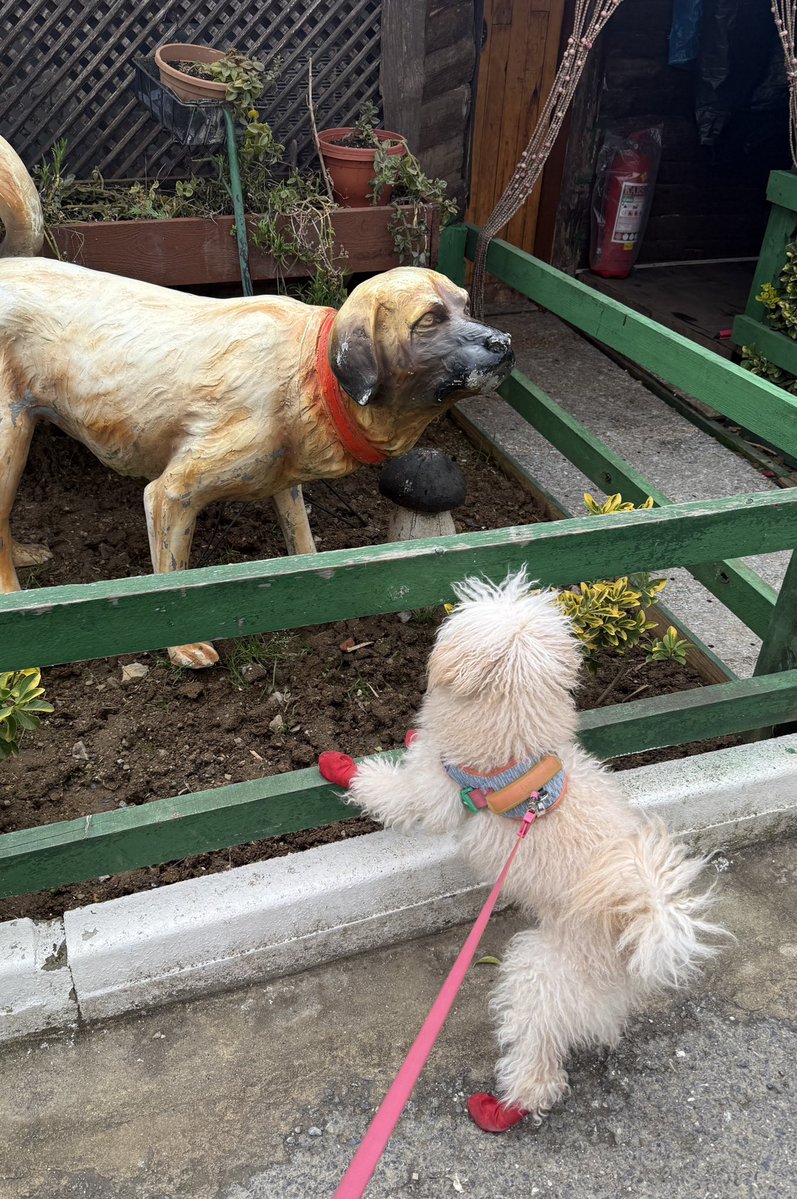 Buse 🪩 tweet media