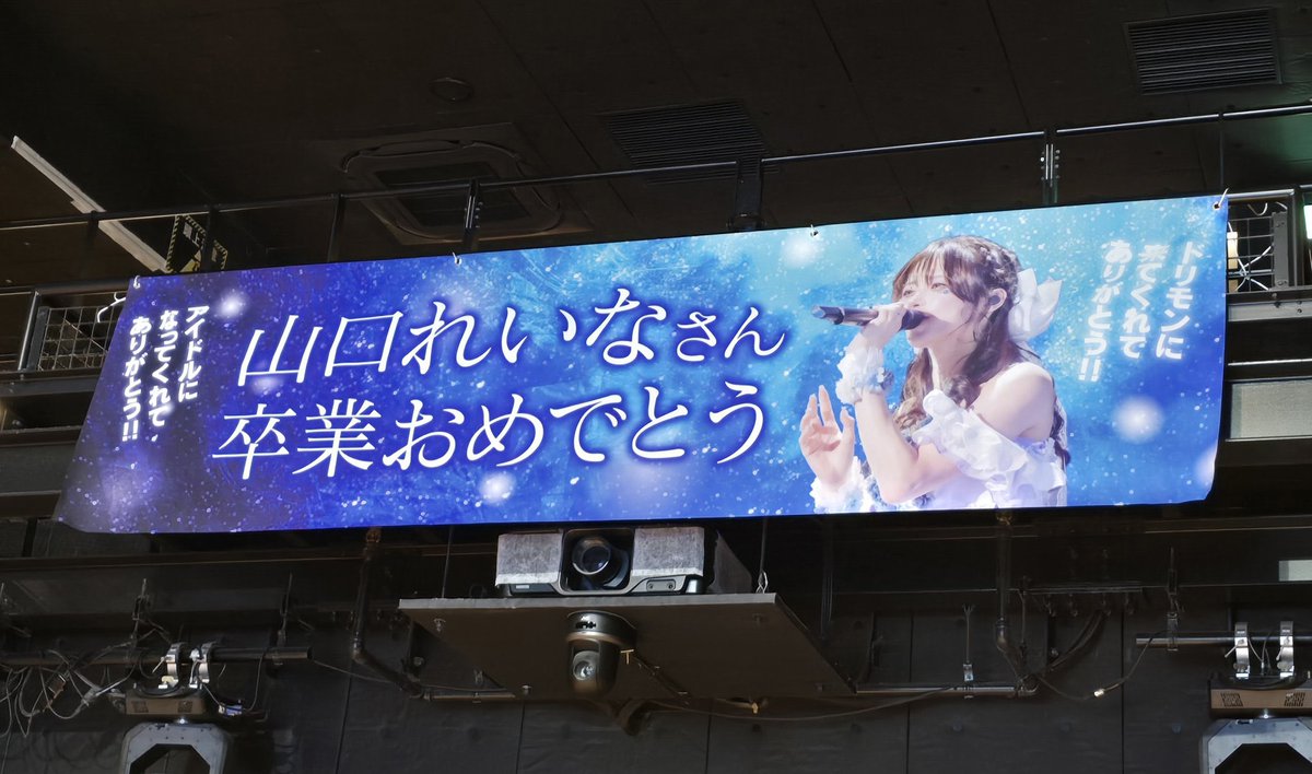 🌎山口れいな🦋 tweet media