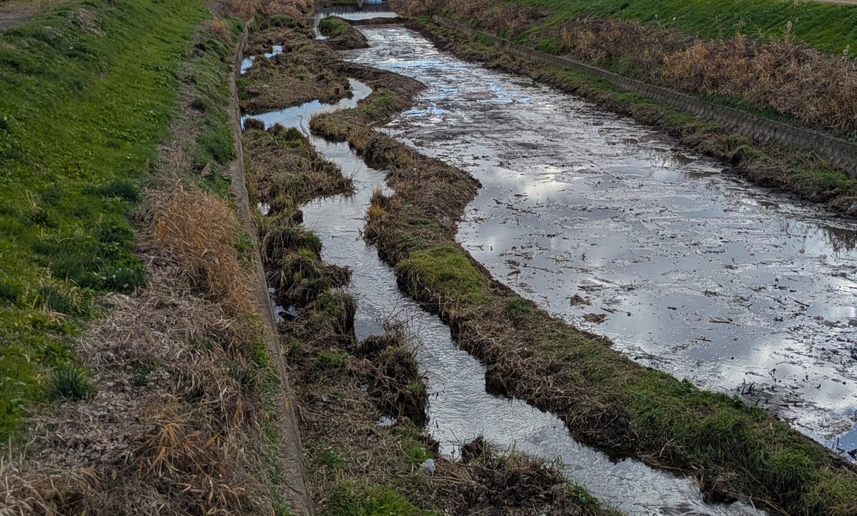 オイカワ丸 tweet media