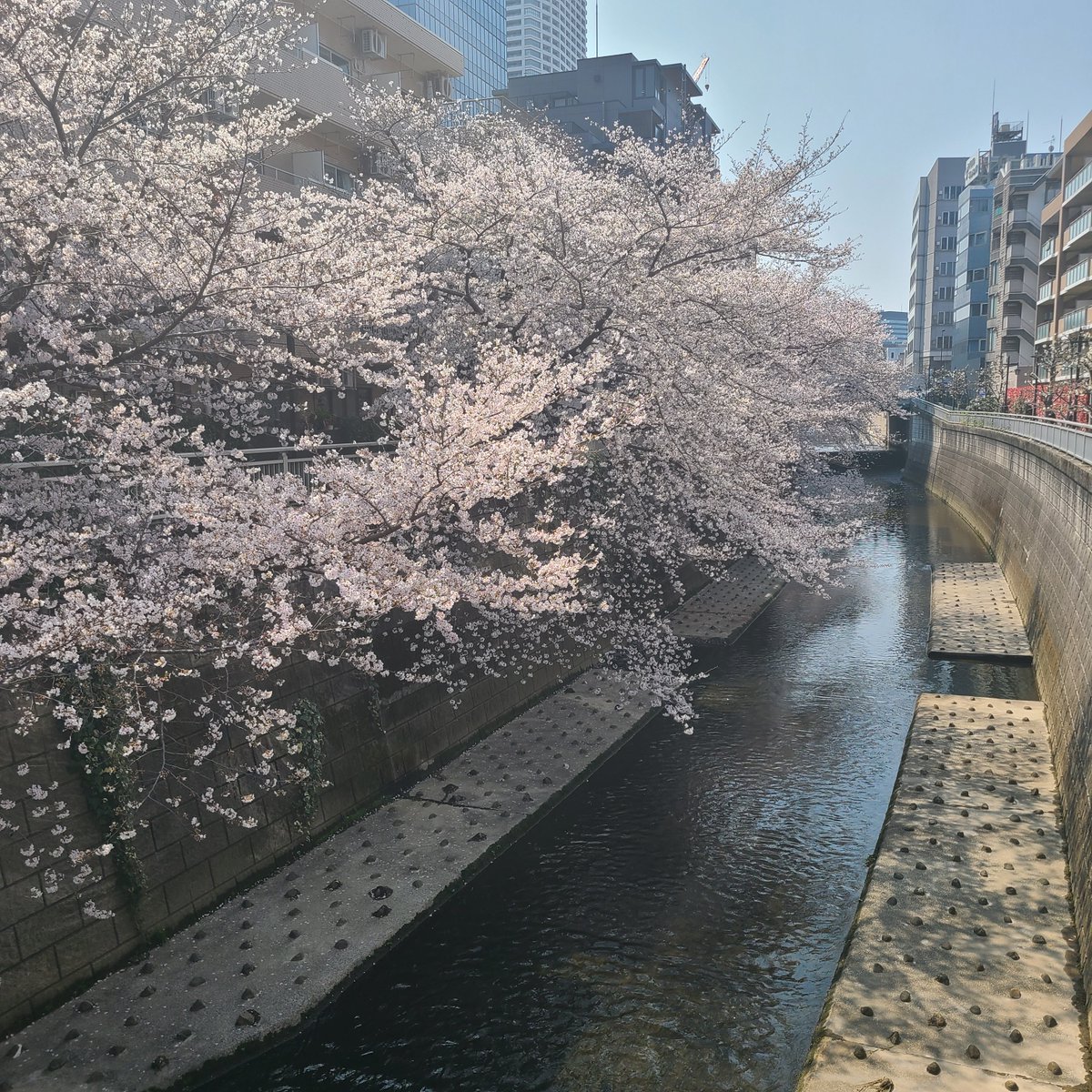 たくパパ tweet media