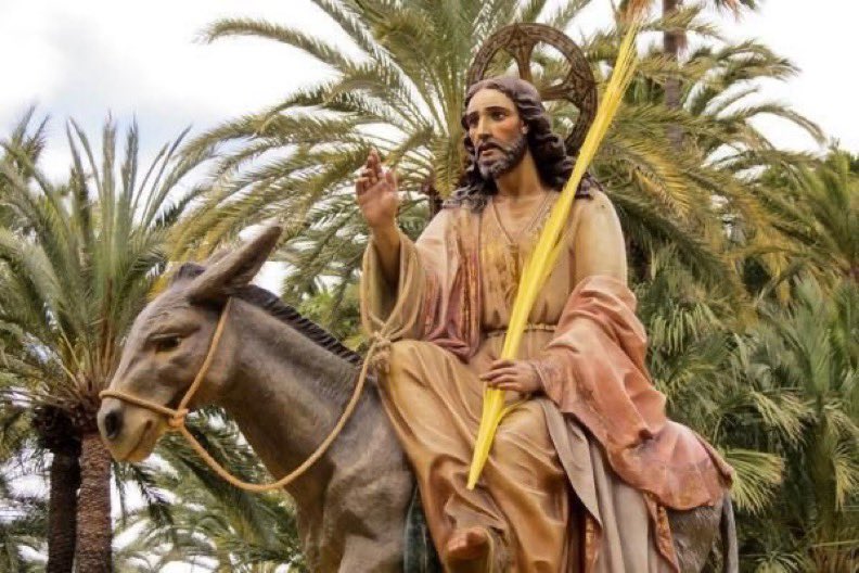 Para ello entró en la ciudad de Jerusalén, como indica la profecía de Zacarías, sentado sobre un pollino de borrica, y a su encuentro salió la multitud con ramos de olivos.

Recordando con fe y devoción esta entrada salvadora, acompañemos al Señor alabándolo con ramos y cantos.
