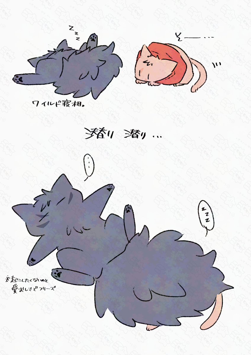 ななや🐾 tweet media