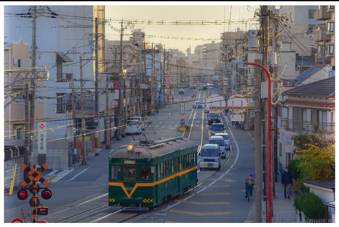 __BI__S's tweet photo. 阪堺161形の定期運用。
稼働シーズンになったら狂ったように通い詰めてたな。

まさか2両が一気に休車になるとは思わんかった…笑 https://t.co/PP7YF44GXo