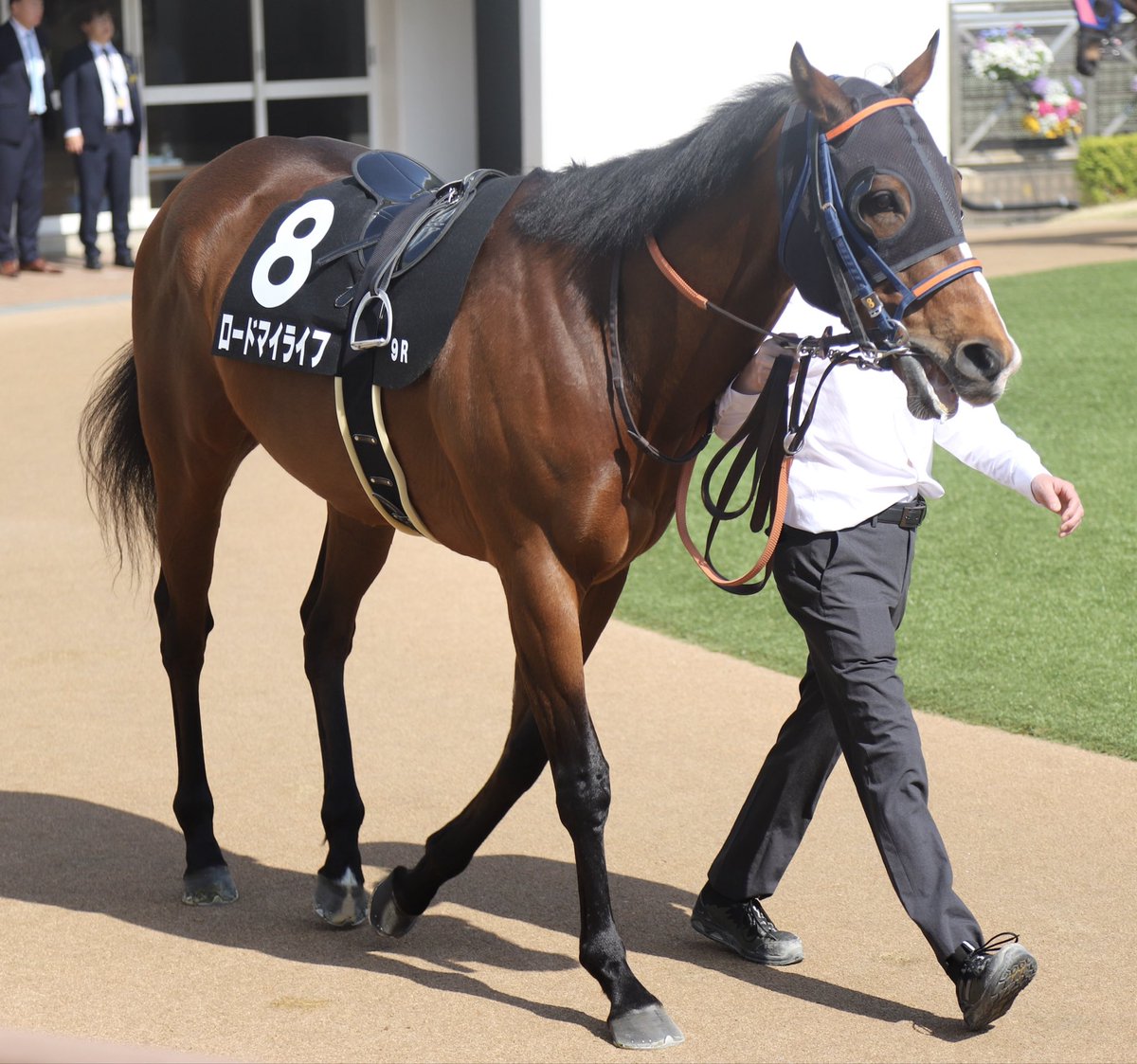 PrimRose tweet media