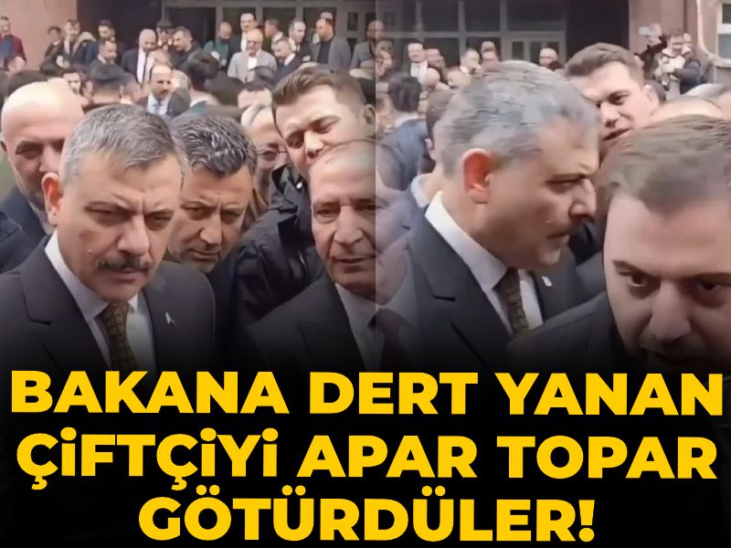 Halk TV tweet media
