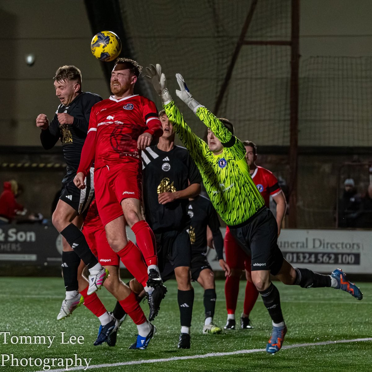 Thomas Lee tweet media