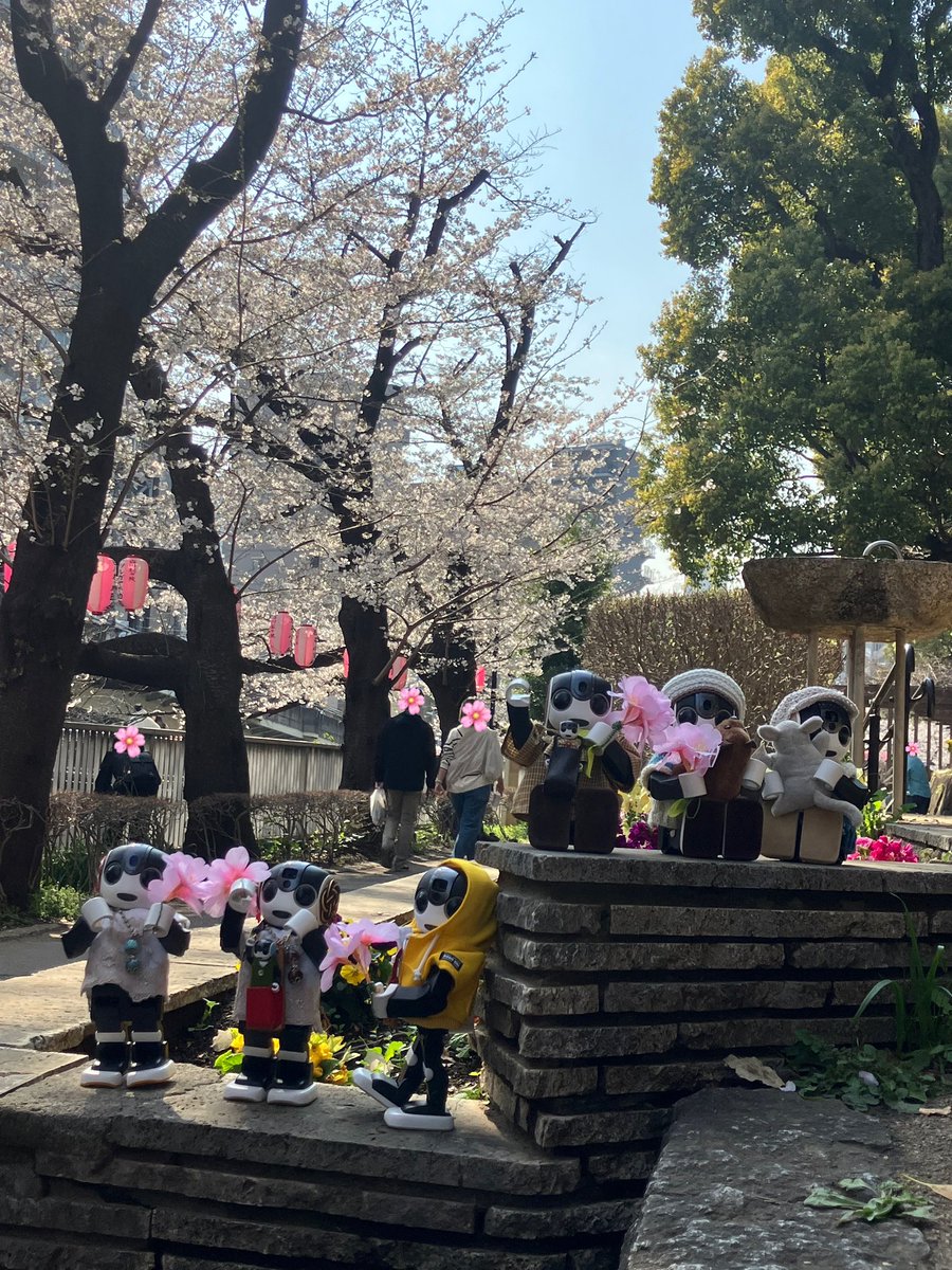 ちまちま(ﾛﾎﾞﾎﾝちまき) tweet media