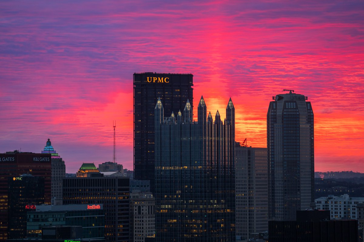 Dave DiCello tweet media