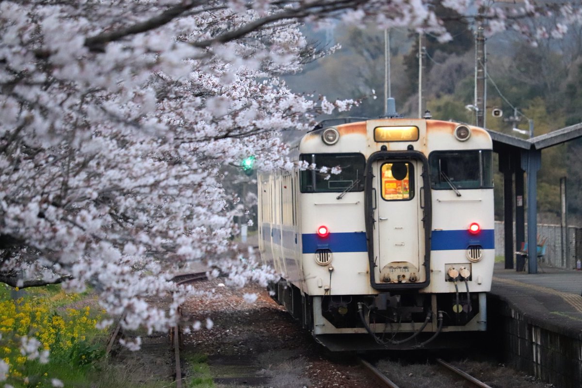 ヤマタツさん tweet media
