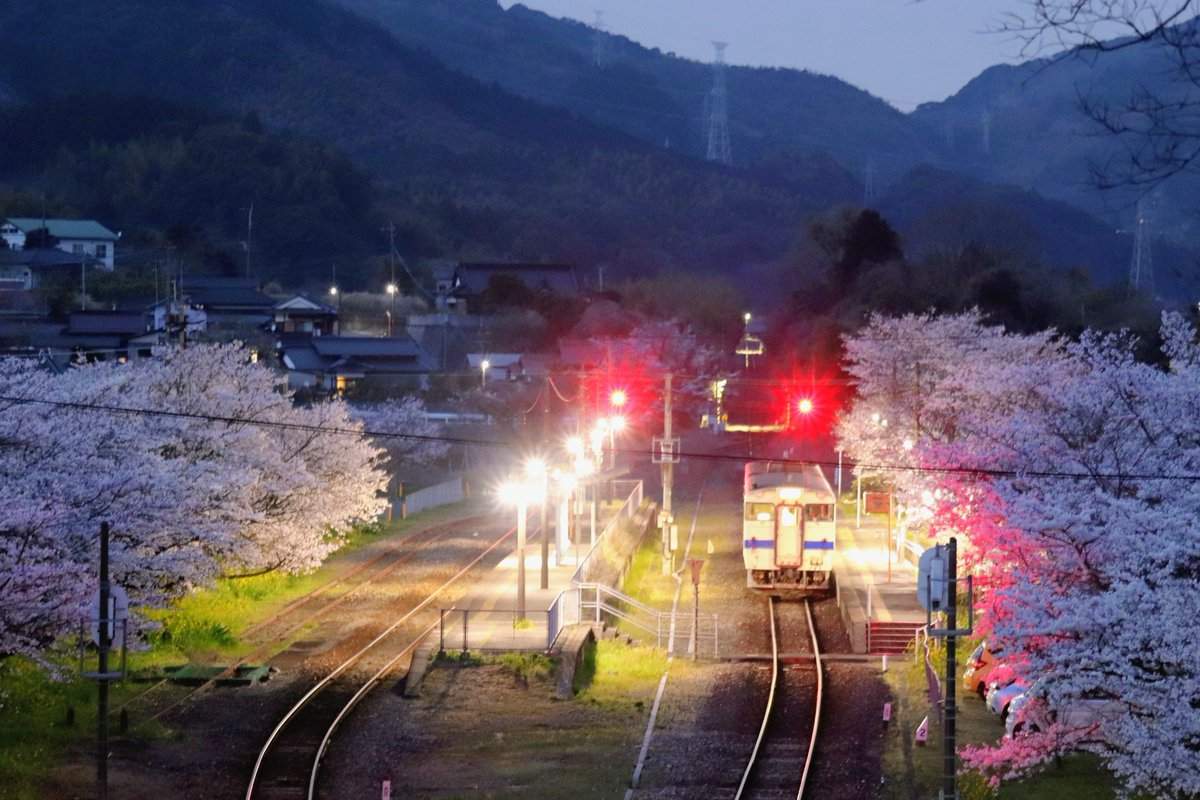 ヤマタツさん tweet media