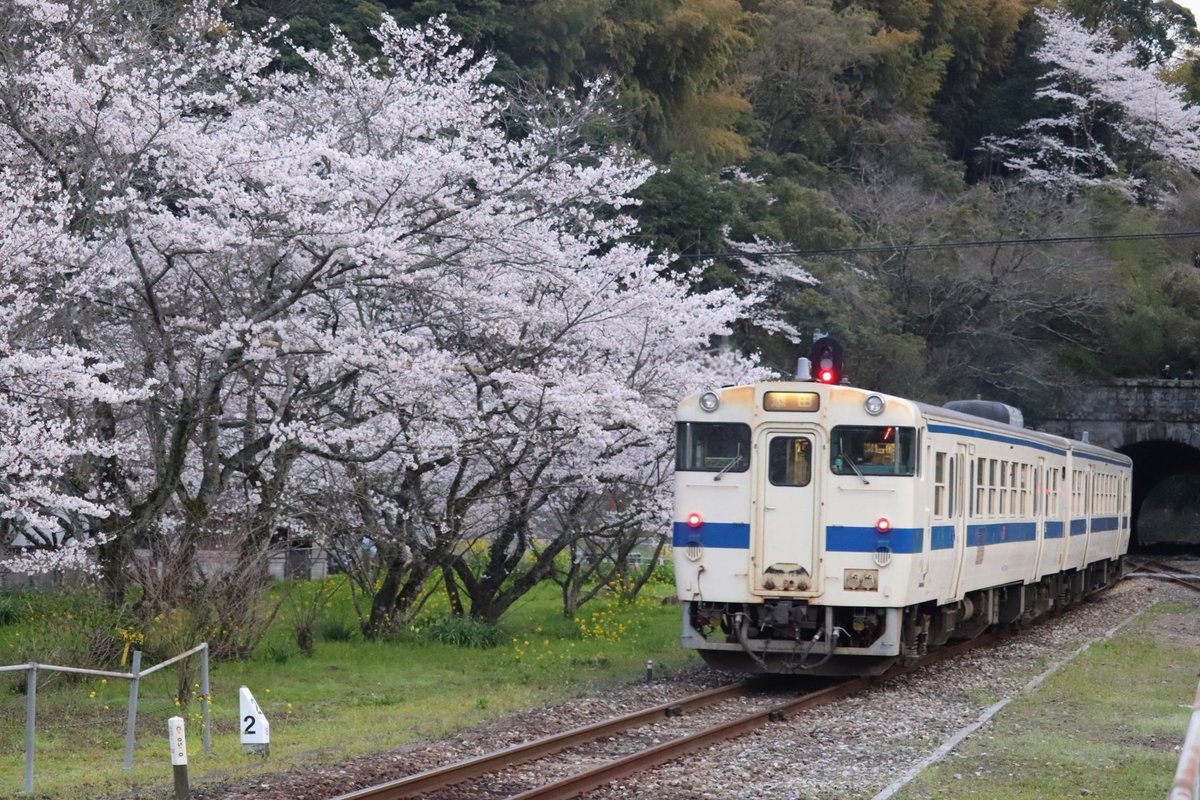 ヤマタツさん tweet media
