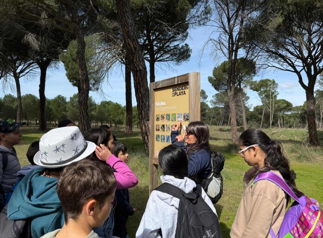 CEIP QUEVEDO tweet media