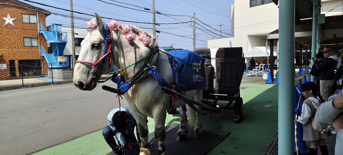 バタン♨️@ウーバ(Xのすがた) tweet media