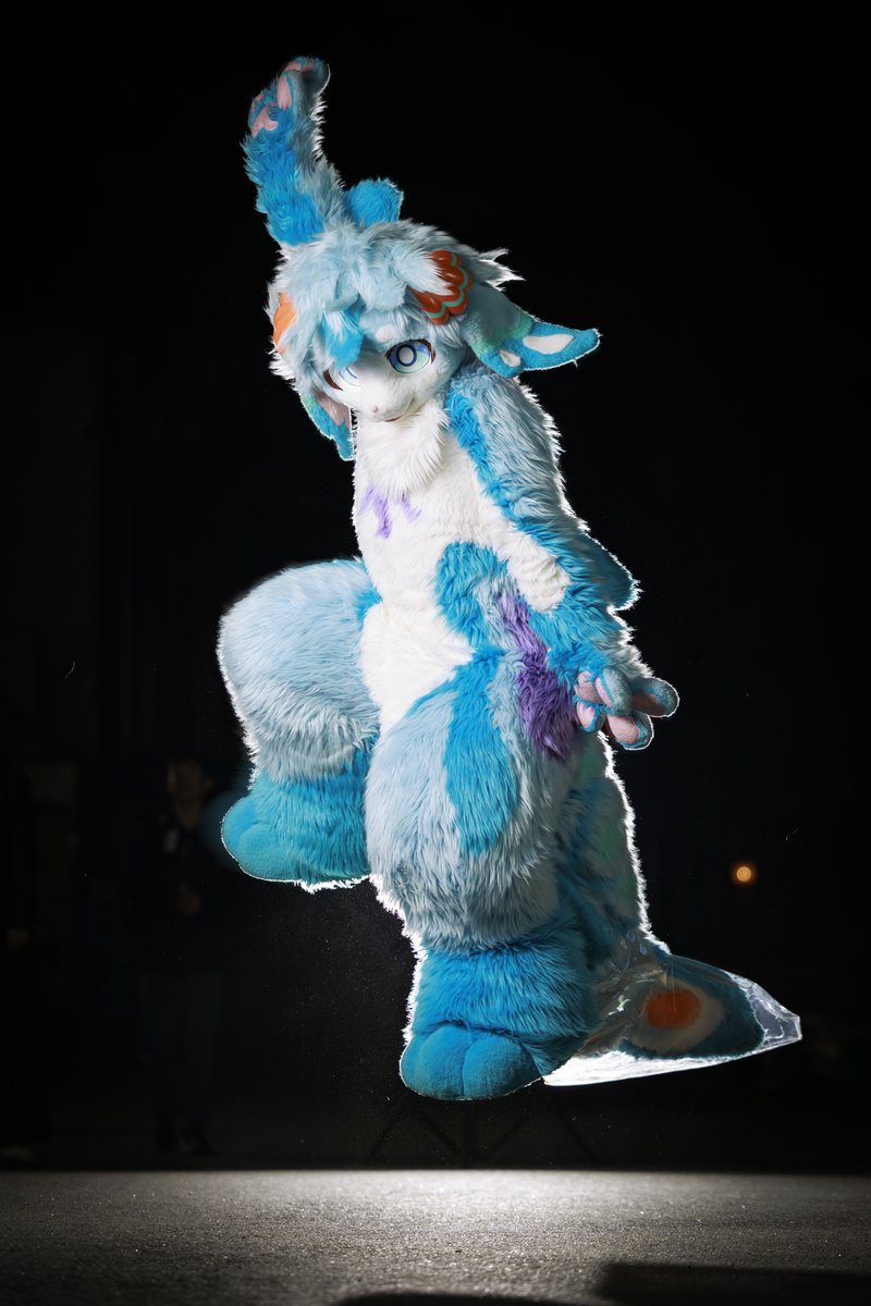 첨벙이 Splash 🦈 tweet media