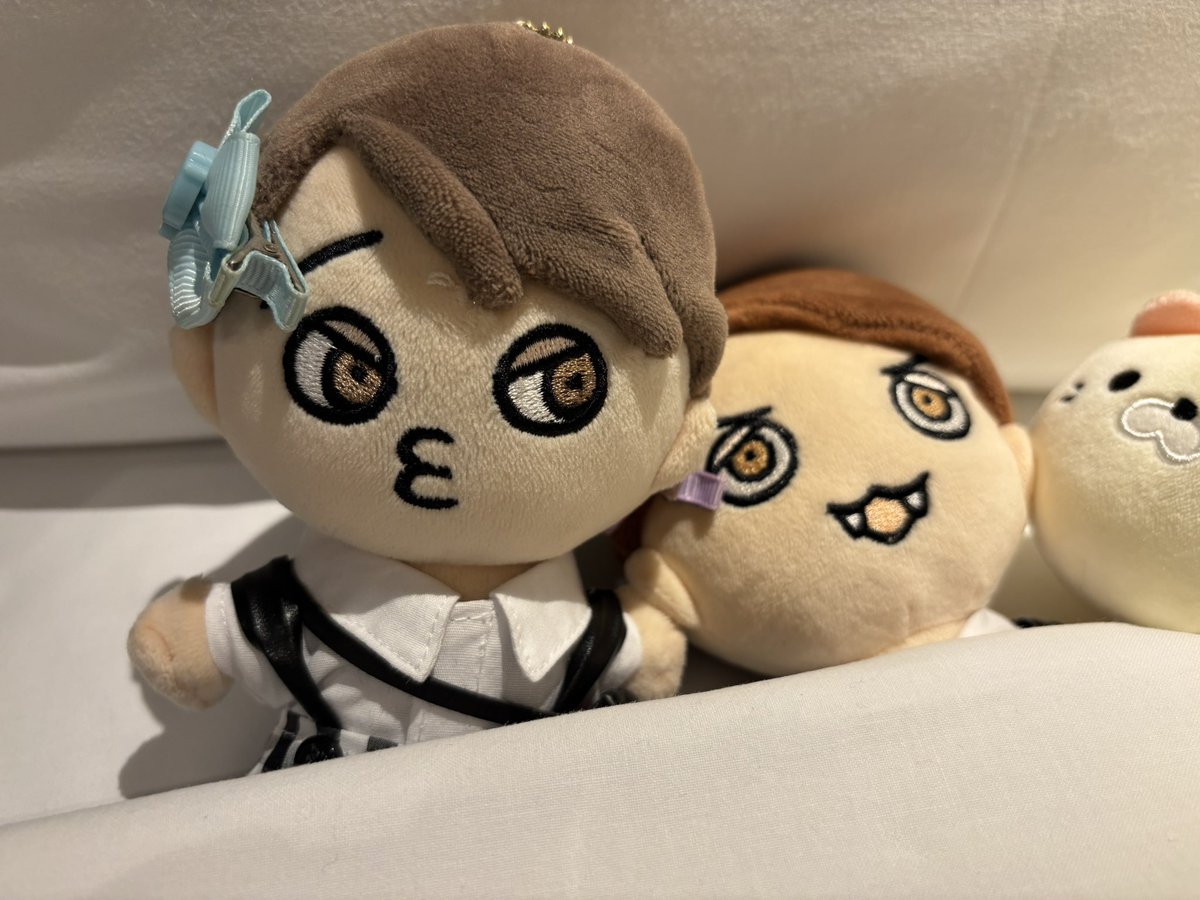 ちぇりぽぽ tweet media