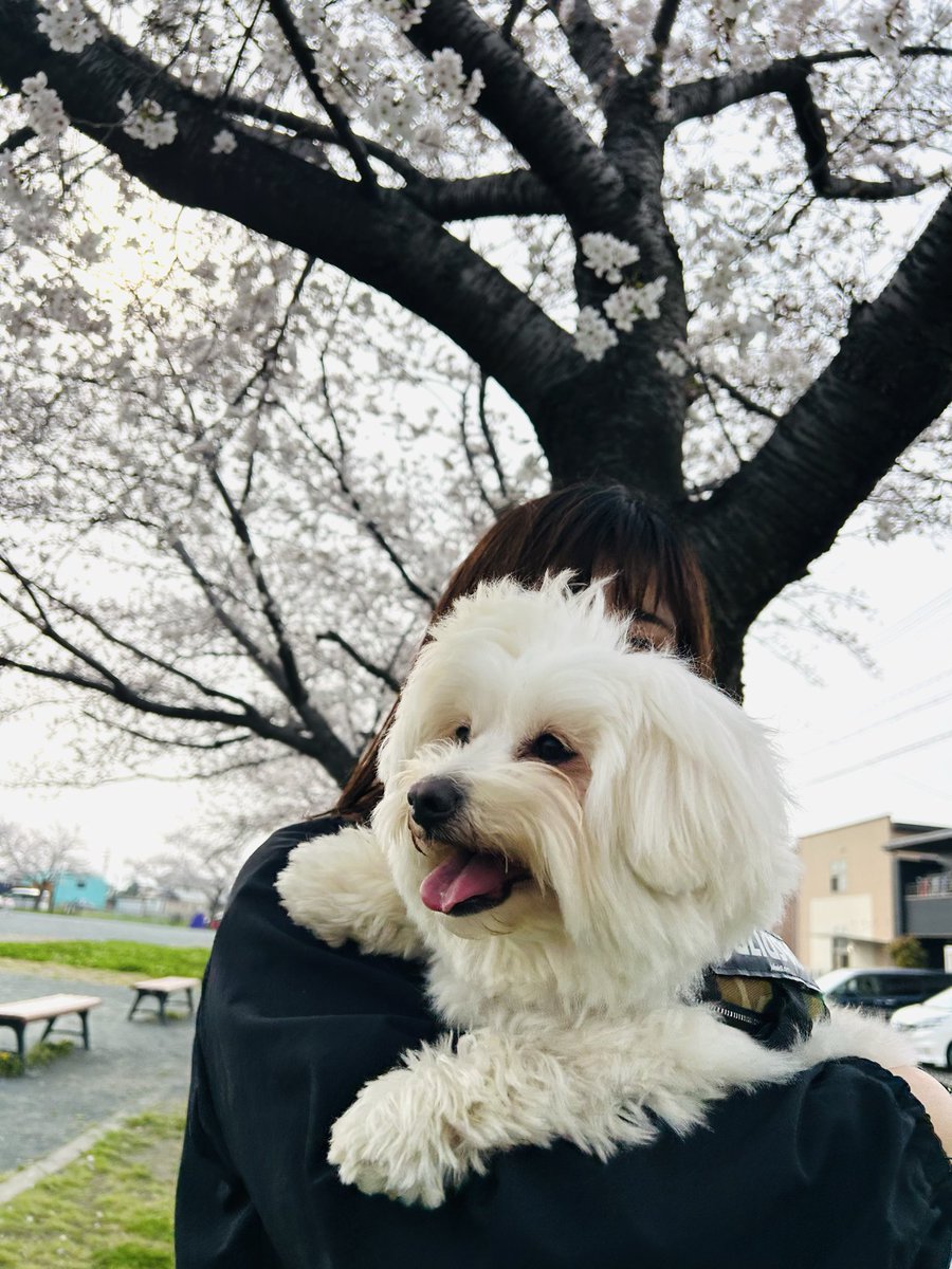 😁♡ニコチンコ♡😁 tweet media